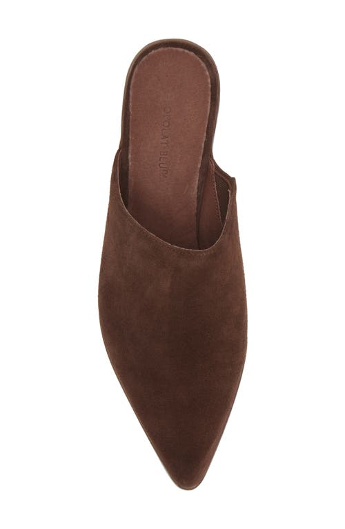 CHOCOLAT BLU CHOCOLAT BLU CELLIA POINTED TOE MULE