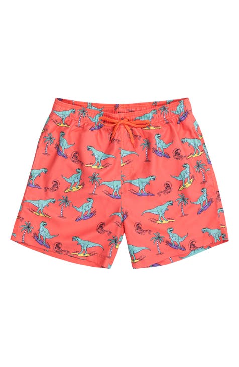 Print Swim Shorts