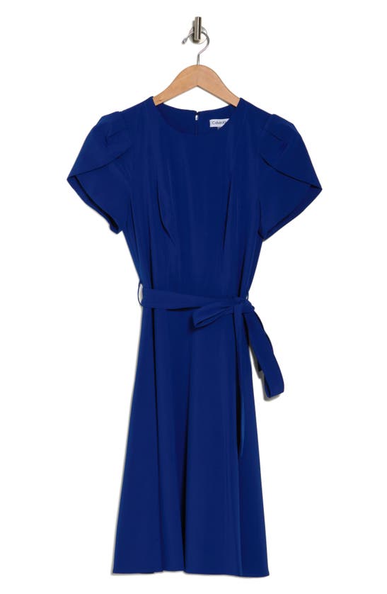 Calvin Klein Tulip Short Sleeve A-line Dress In Regatta