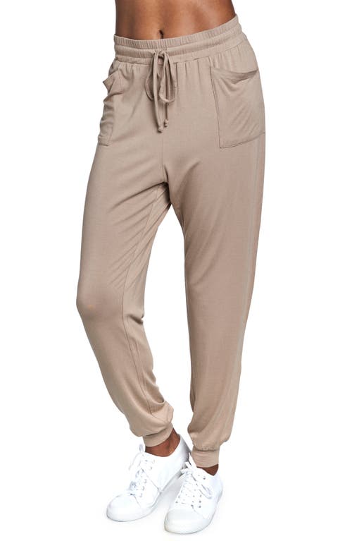 Everly Grey Carmen Jersey Maternity Joggers at Nordstrom,