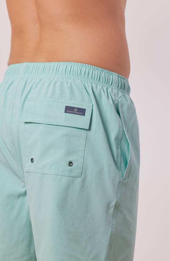 Rainforest Not Your Average Solid Swim Trunks In Aruba Blue