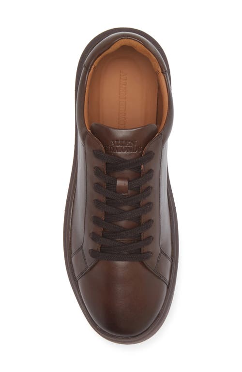 Allen Edmonds Foster Low Top Sneaker In Mahogany