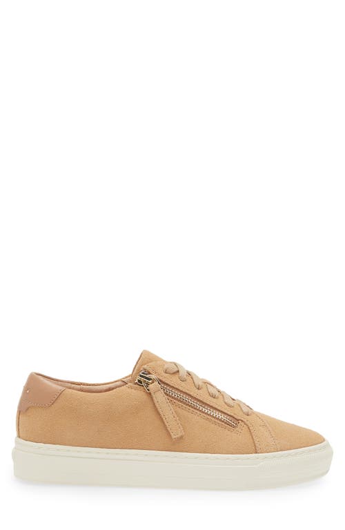 Shop Frankie4 Billie Zip Sneaker In Camel Suede