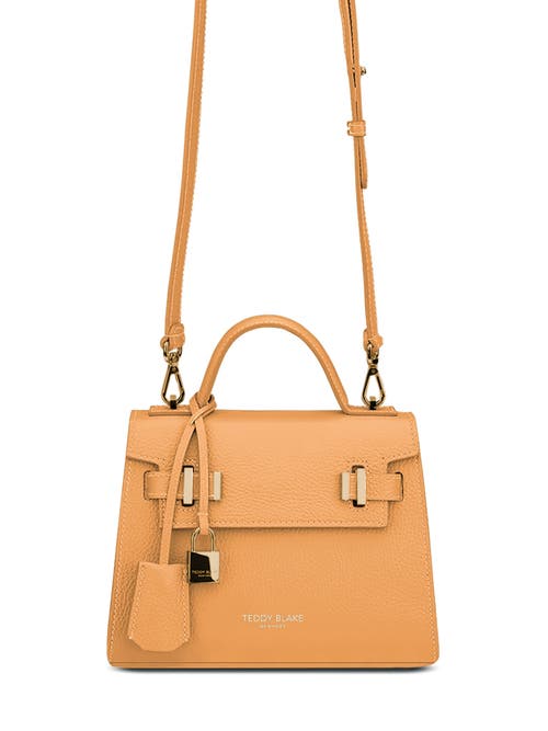 Shop Teddy Blake Ava  9" In Apricot