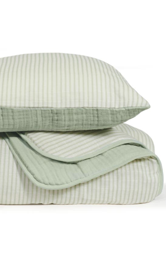 Shop Oilo Organic Cotton Muslin Quilt & Sham Set In Seamoss