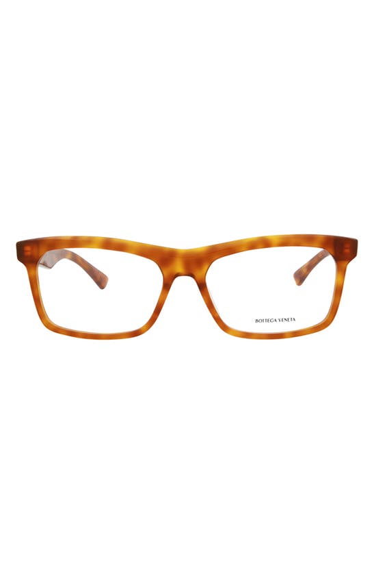 Bottega Veneta 56mm Rectangle Havana Core Optical Glasses In Havana ...