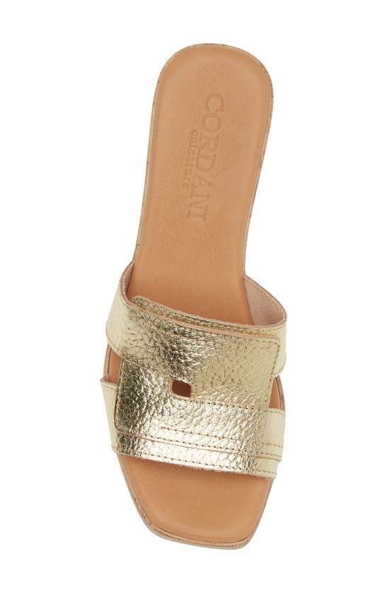 Cordani Marley Platform Sandal In Platino In Platino