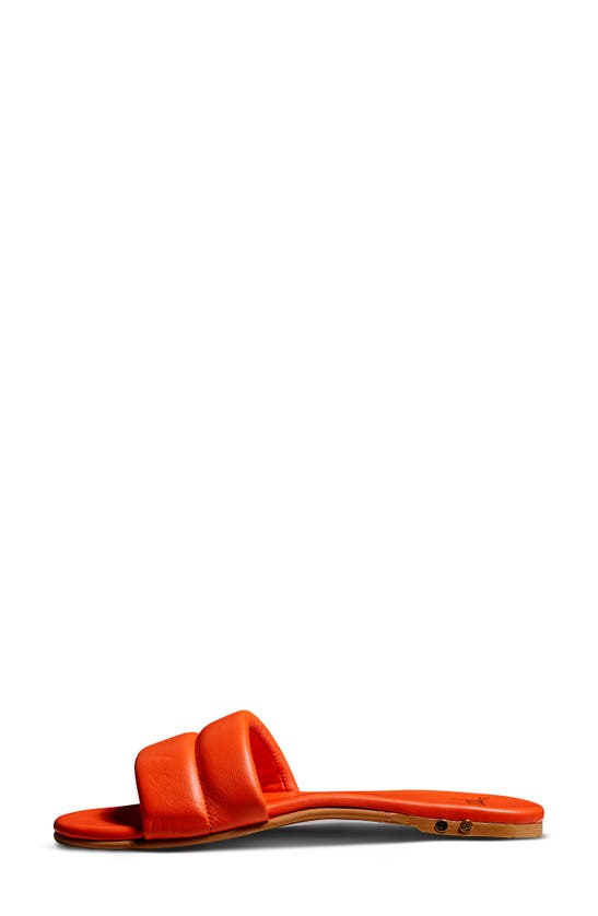 Beek Sugarbird Slide Sandal In Tangerine