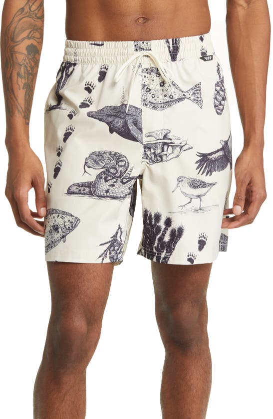 Primary Fruits & Friends Swim Trunks In Antique White-black