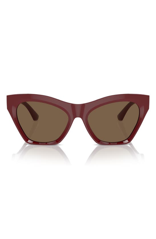 Shop Burberry 55mm Cat Eye Sunglasses In Bordeaux