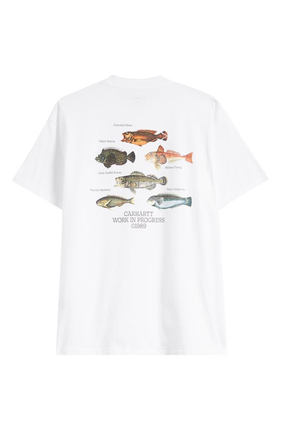 Shop Carhartt Work In Progress Fish Organic Cotton Graphic T-shirt In White