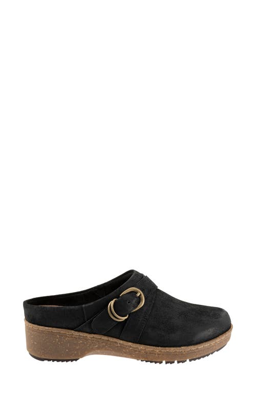 Softwalk ® Asmara Platform Mule In Black Suede