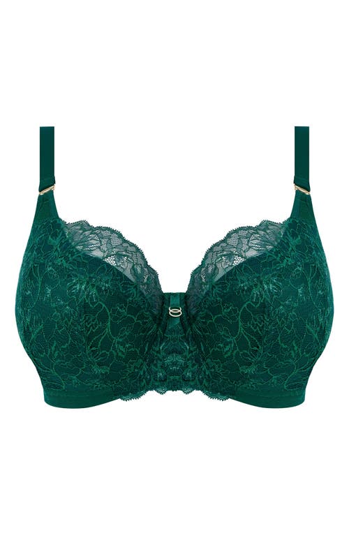 ELOMI ELOMI BRIANNA UNDERWIRE PADDED HALF CUP BRA 