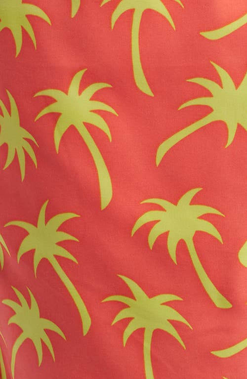 Shop Tom & Teddy Palm Tree Print Performance Swim Trunks In Coral & Lime