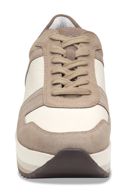 Johnston & Murphy Gracie Colorblock Sneaker In Taupe Suede/ Cotton Calf