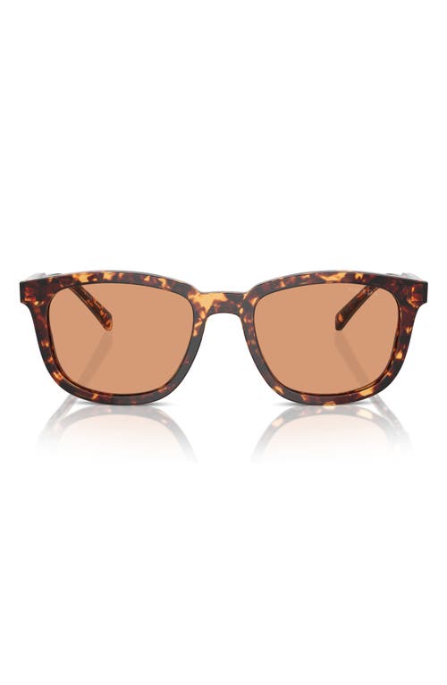 Prada 55mm Pillow Sunglasses In Havana/orange