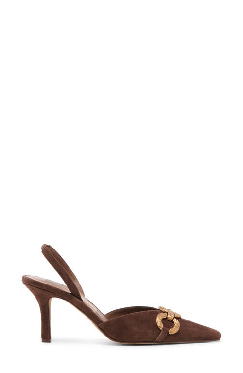 Shop Dolce Vita Haylee Slingback Pointed Toe Pump In Dark Brown Suede