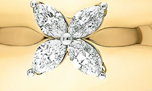Gabi Rielle Cz Petal Hoop Earrings In Gold