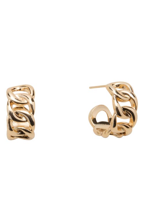 st. Moran Chubby Curb Chain Hoop Earrings in Gold 