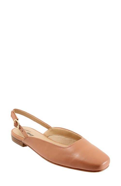 Trotters Holly Slingback Flat Blush at Nordstrom,