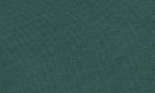 Pleasures Satisfaction Turtleneck In Green