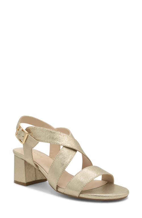 Ida Ankle Strap Sandal in Champagne