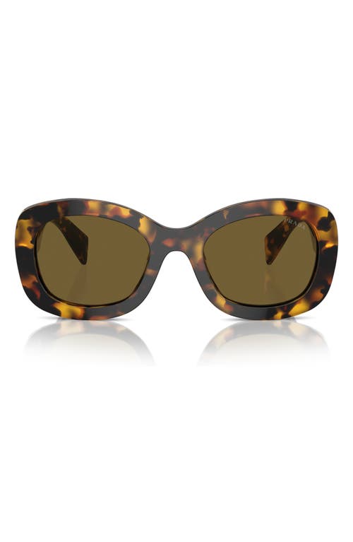Prada 55mm Oval Sunglasses in Dark Brown at Nordstrom