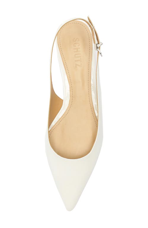 Shop Schutz Evan Pointed Toe Slingback Kitten Heel Pump In White