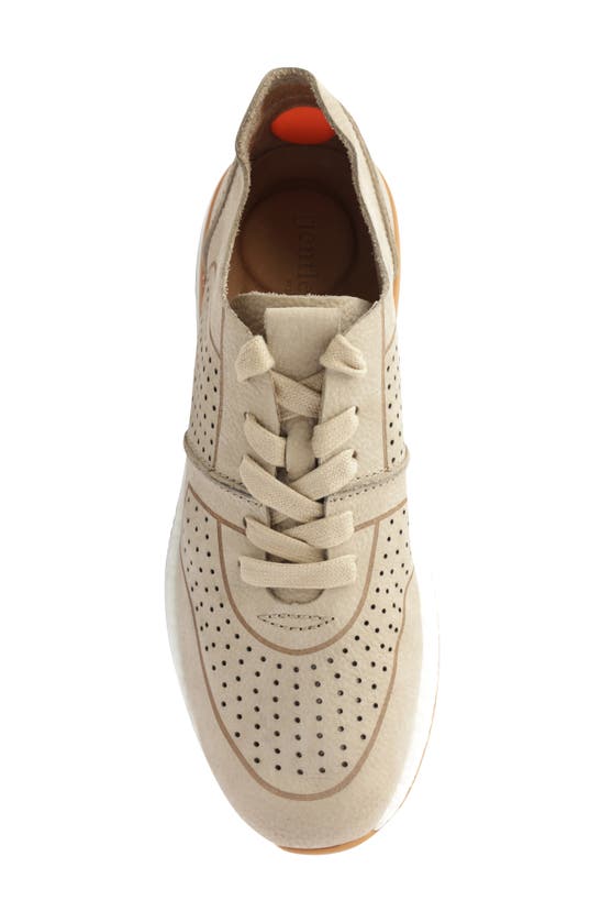 Gentle Souls By Kenneth Cole Laurence Jogger Sneaker In Mushroom