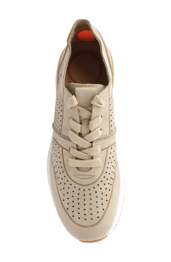 Shop Gentle Souls By Kenneth Cole Laurence Jogger Sneaker In Mushroom