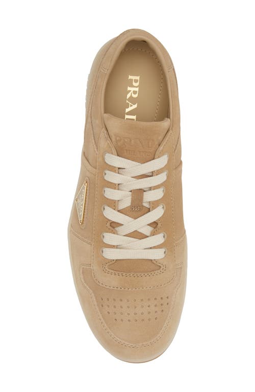 Shop Prada Downtown Sneaker In Ecru