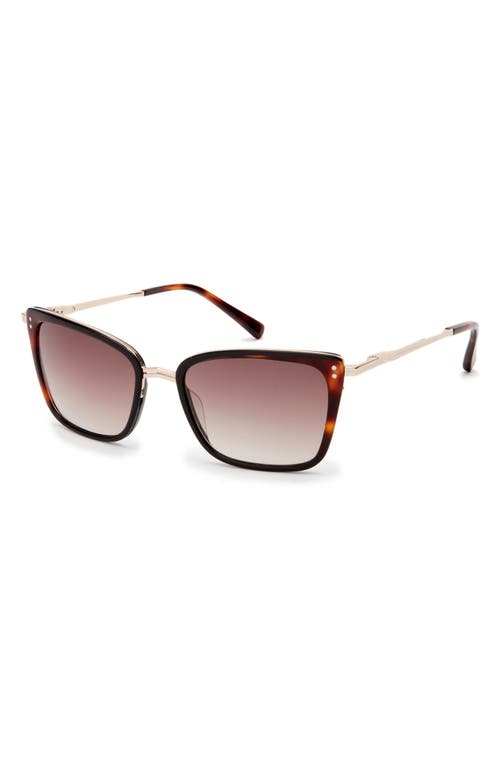 Ted Baker London 56mm Square Sunglasses In Tortoise