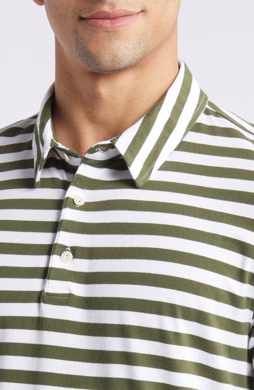 Ag Bryce Stripe Polo In True White/new Spruce