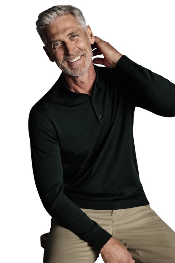 Shop Charles Tyrwhitt Pure Merino Polo Neck Sweater In Forest Green