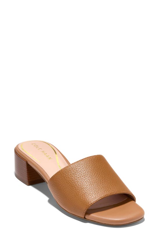 Cole Haan Calli Single Band Block Heel Slide Sandal In Pecan Ltr