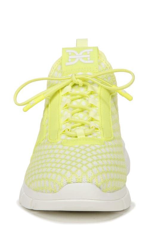 SAM EDELMAN SAM EDELMAN CAMI SNEAKER