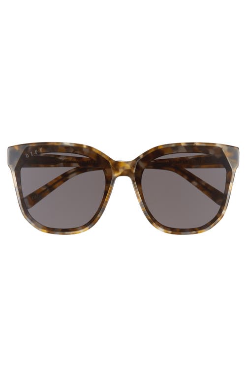 Shop Diff Gia 62mm Oversize Square Sunglasses In Sea Turtle Tortoise/grey