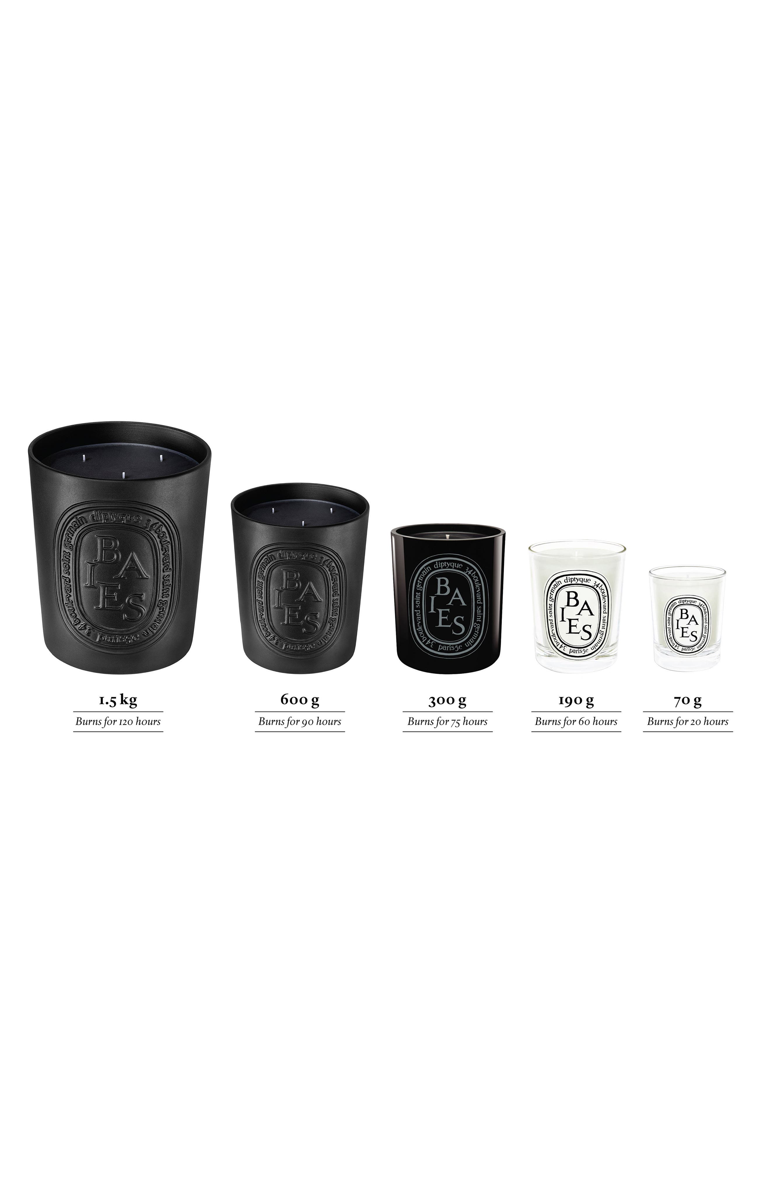 Diptyque Baies Candle 6.5oz Wax Only