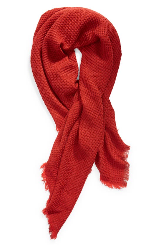 Treasure & Bond Thermal Knit Scarf In Rust Combo