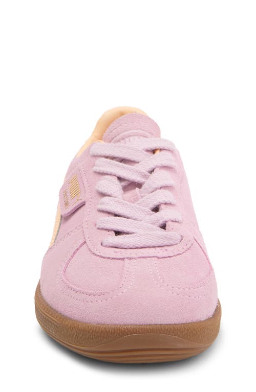 Shop Puma Kids' Palermo Sneaker In Grape Mist-peach Fizz