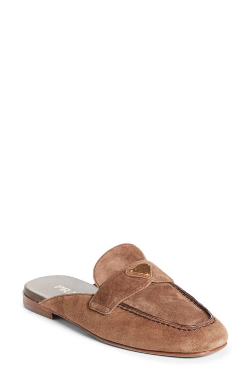 Prada Logo Loafer Mule in Cannella 