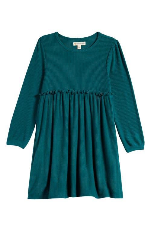 Tucker + Tate Kid's Ruffle Long Sleeve Dress in Green Storm 