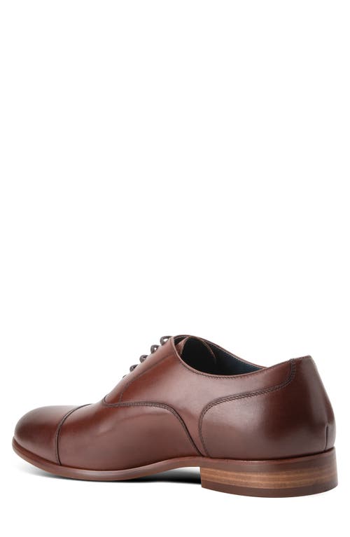 Shop Blake Mckay Melvern Cap Toe Oxford In Chestnut Leather