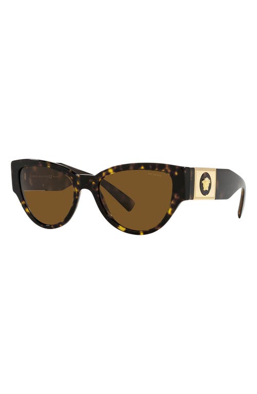 Versace 55mm Polarized Cat Eye Sunglasses In Havana/polarized Brown
