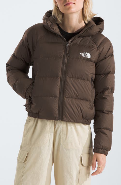 Shop The North Face Hydrenalite Hooded Down Jacket In Smokey Brown