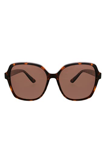 Oscar De La Renta Angled Modern 58mm Square Polarized Sunglasses In Tortoise