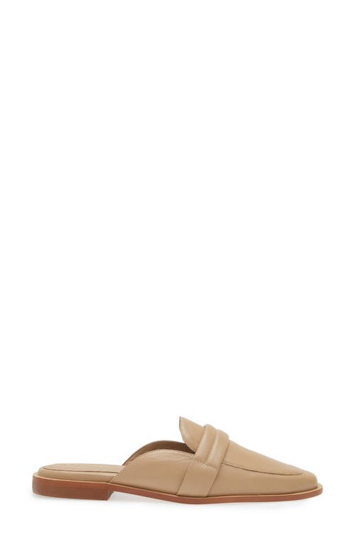 Kaanas Square Toe Mule In Almond