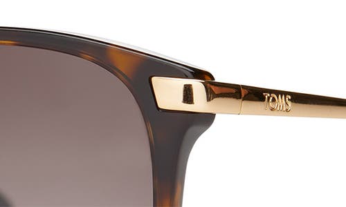 Toms Sandela 55mm Gradient Square Sunglasses In Tortoise Ocean Grey Fade