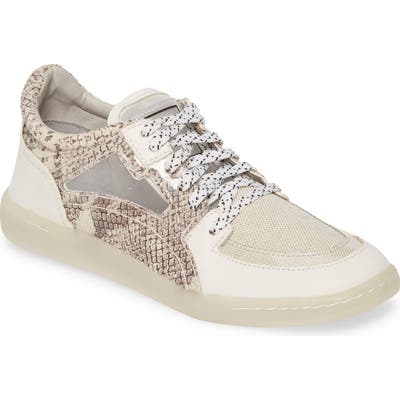 Dolce Vita Nea Sneaker- Brown