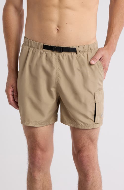 Nike Volley 5-inch Cargo Swim Trunks In Brown